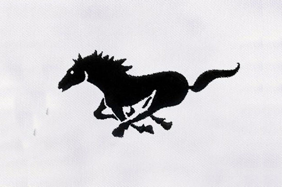 Black Horse Silhouette: A Versatile Embroidery Design