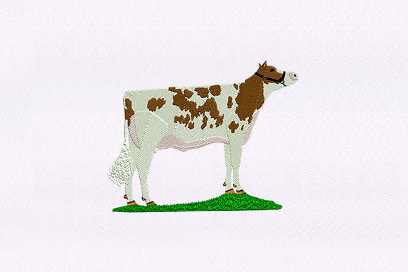Spotted Brown Cow Design: A Maker’s Review